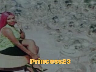 Princess23