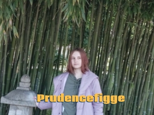 Prudencefigge