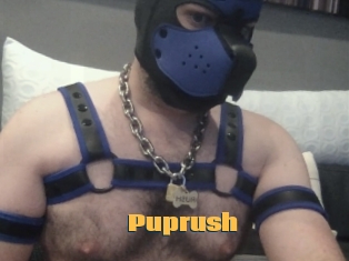 Puprush