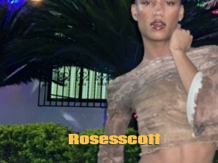 Rosesscott