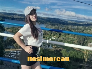 Rosimoreau