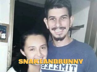 SNAKEANDBUNNY