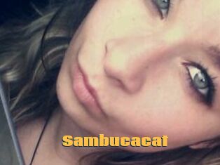 Sambucacat