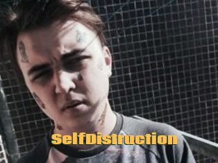 SelfDistruction