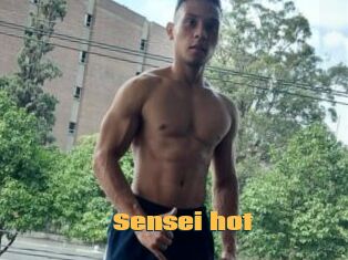 Sensei_hot