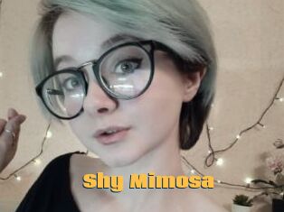 Shy_Mimosa