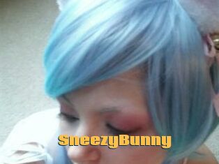 Sneezy_Bunny