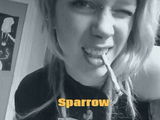 Sparrow