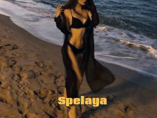 Spelaya