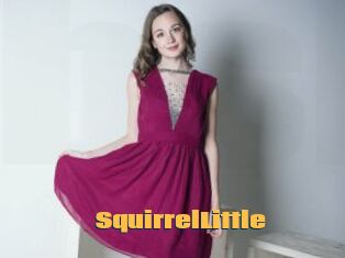 SquirrelLittle