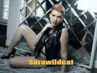 Sarawildcat