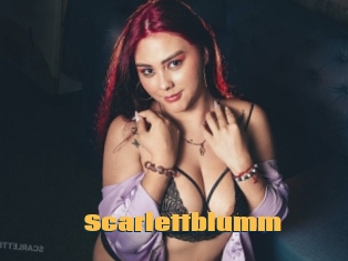 Scarlettblumm