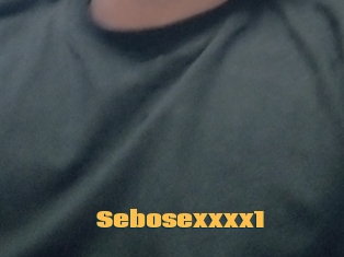 Sebosexxxx1