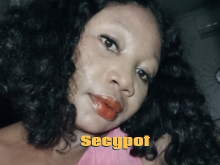 Secypot