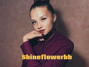 Shineflowerbb