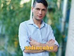 Sid_incube