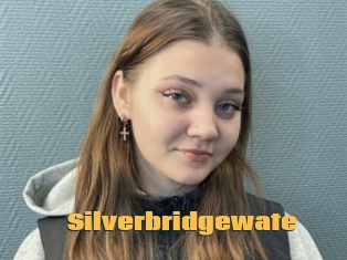 Silverbridgewate