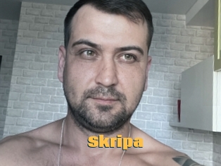 Skripa