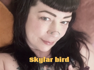 Skylar_bird