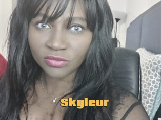 skyleur Be Seen Here