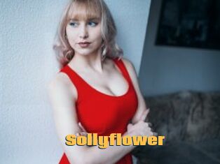 Sollyflower