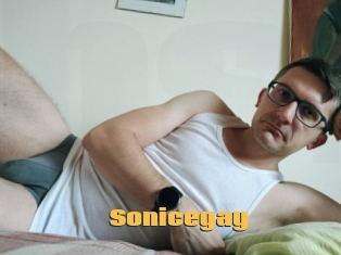 Sonicegay