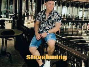 Stevebunny