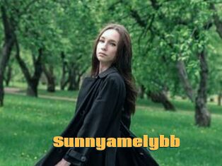 Sunnyamelybb