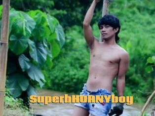 SuperbHORNYboy