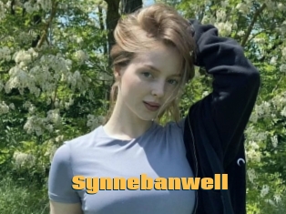 Synnebanwell