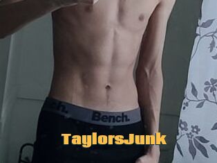 TaylorsJunk