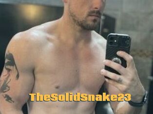 TheSolidSnake23