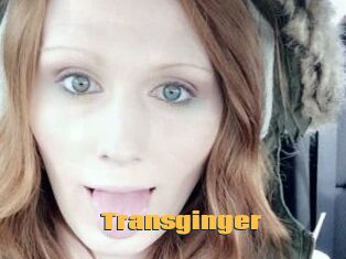 Transginger