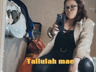 Tallulah_mae