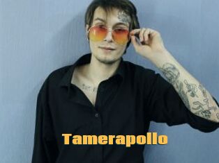 Tamerapollo