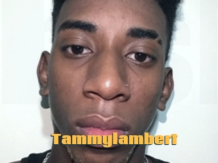 Tammylambert