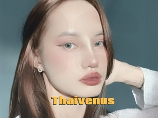 Thaivenus