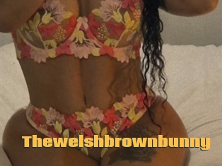 Thewelshbrownbunny