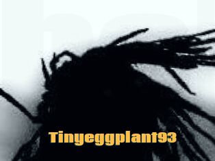 Tinyeggplant93