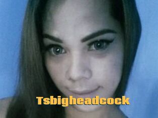 Tsbigheadcock