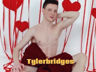 Tylerbridges