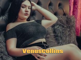 VenusCollins