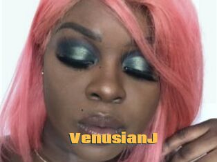 VenusianJ