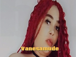 Vanesamude