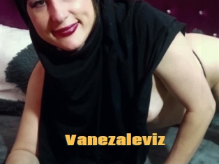 Vanezaleviz