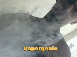 Vapor_genie