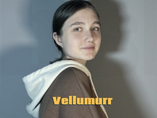 Vellumurr