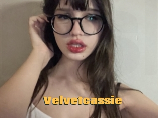 Velvetcassie