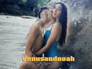 Venusandnoah