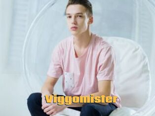 Viggomister